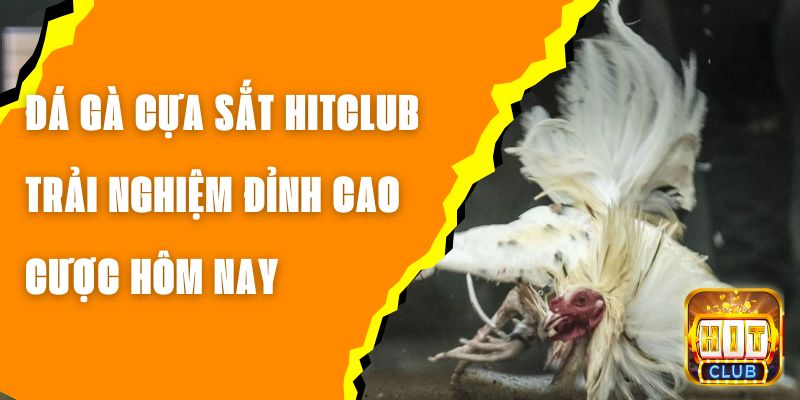 Đá Gà Cựa Sắt Hitclub - Trải Nghiệm Đỉnh Cao, Cược Hôm Nay