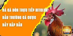 Đá Gà Đòn Trực Tiếp Hitclub - Đấu Trường Cá Cược Đầy Hấp Dẫn